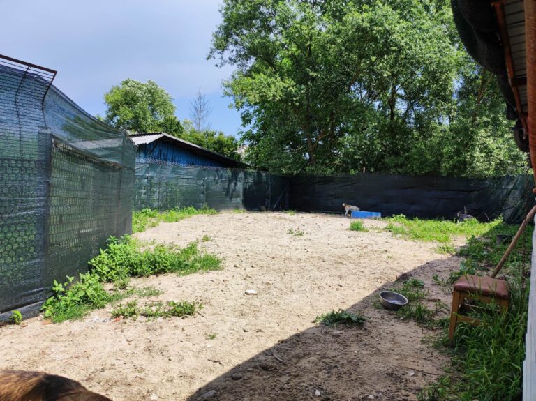 353760819_647557056821175_8312356754324492522_n-768x575