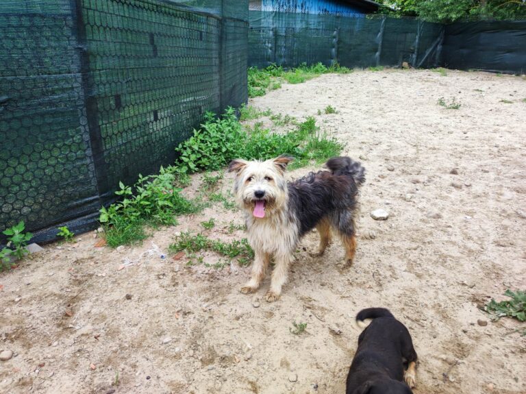 353822715_128498550251824_8626414372696370659_n-768x575