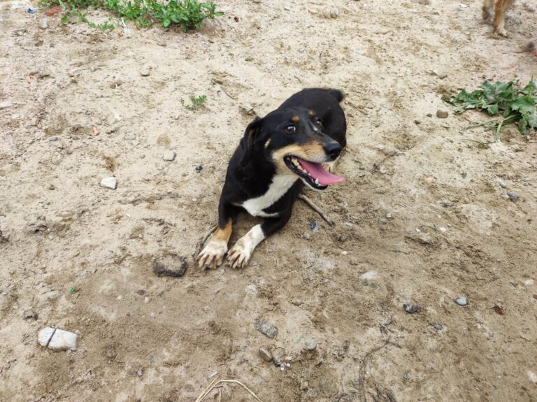 353826449_560386482929290_8277722978448199180_n-768x575