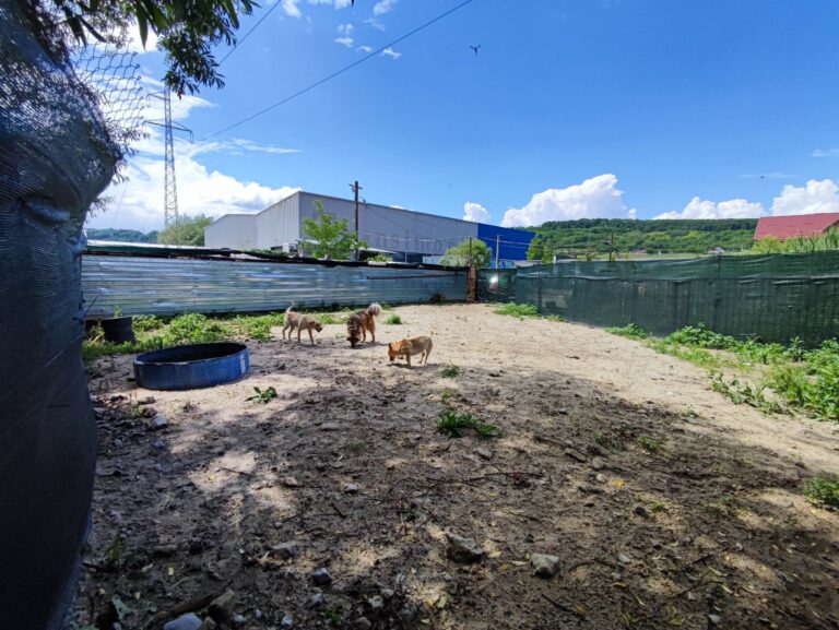 353876134_944652353534364_6832323806179801175_n-768x577