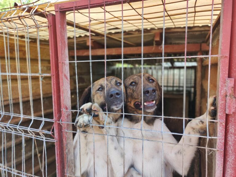 354725229_1205954686624515_2731514396633350282_n-768x575