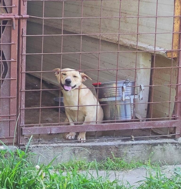 355203870_220865037542468_5692324253777993414_n-768x802