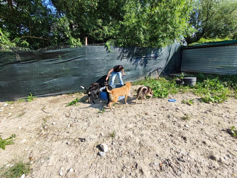 355394960_1639966699817897_5193511785125979568_n-768x577