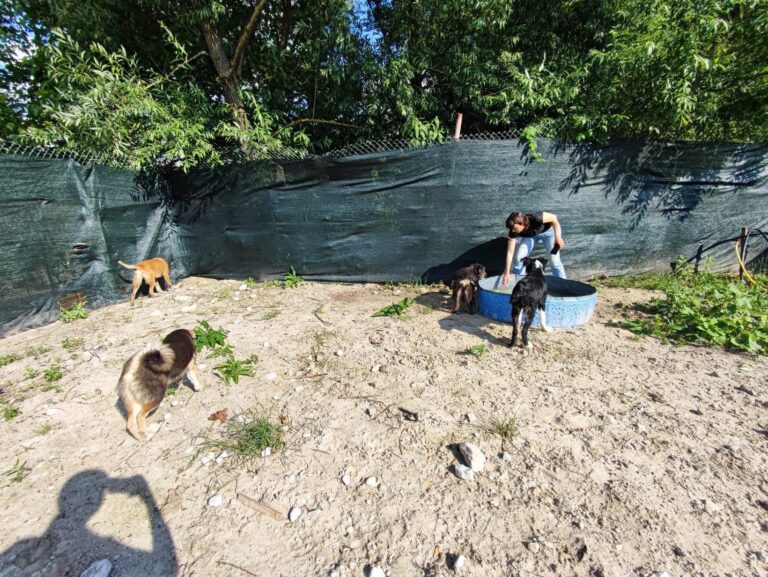 355503718_1007507683741889_2438329402634726530_n-768x577