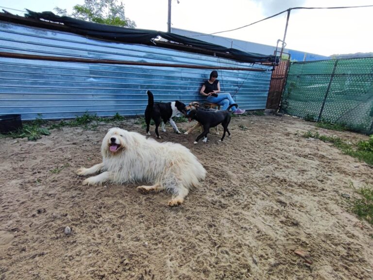 355568590_647954247376971_146383785885018661_n-768x577