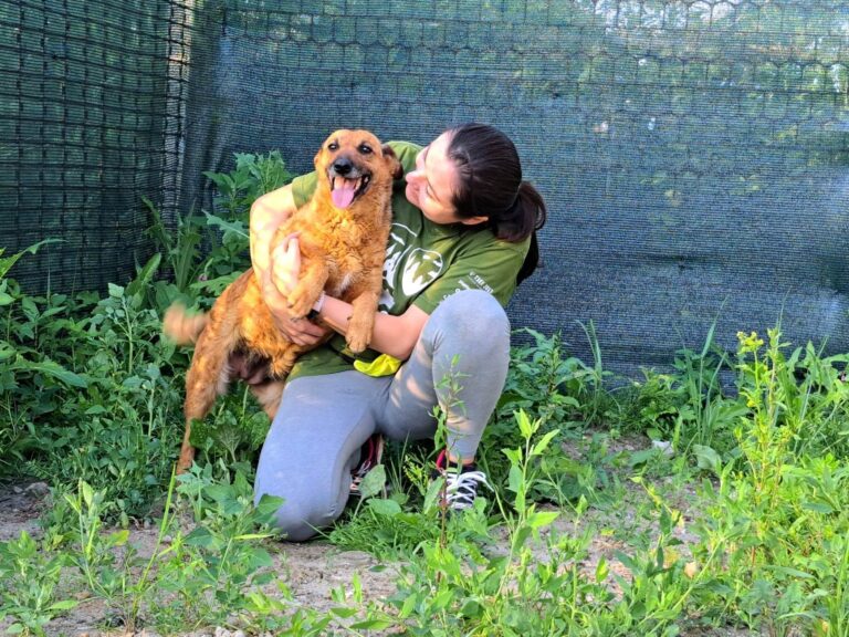 355570130_231952226275662_963003538051568882_n-768x576