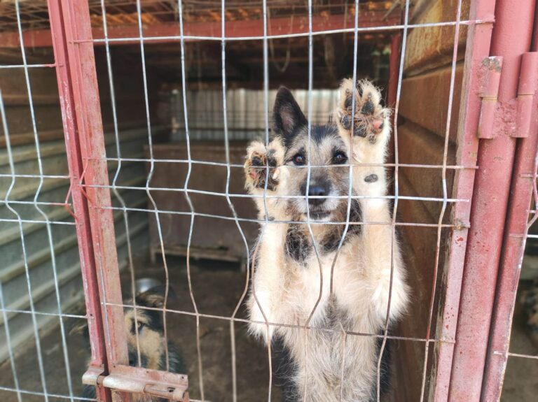 355954075_996841808338863_8533966735367666037_n-768x575