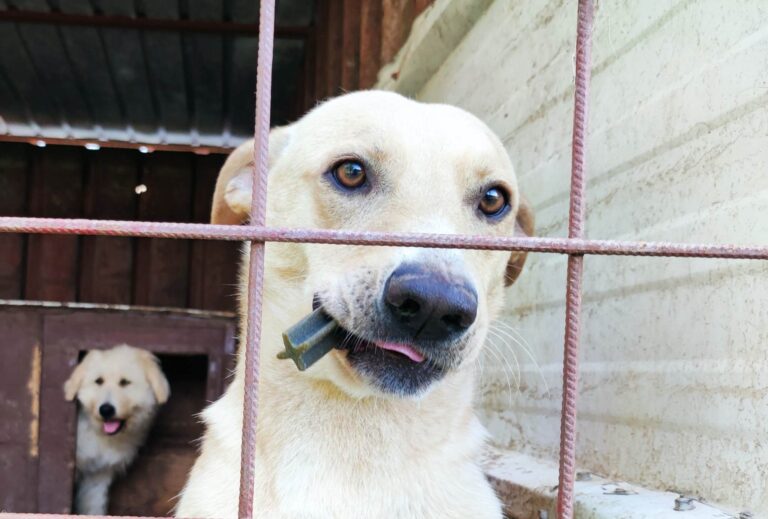 356112395_286961667033897_3396886955569175701_n-768x519