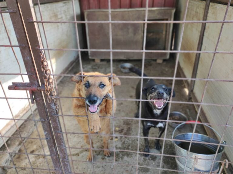 356134036_1229188051115387_9114466007926173535_n-768x575