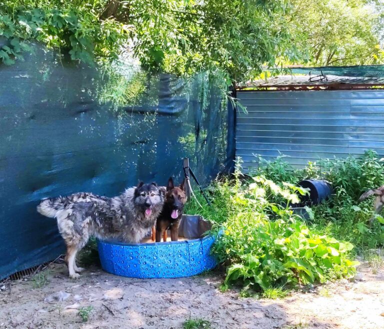 361064879_653455916706805_5140128267616954601_n-768x658