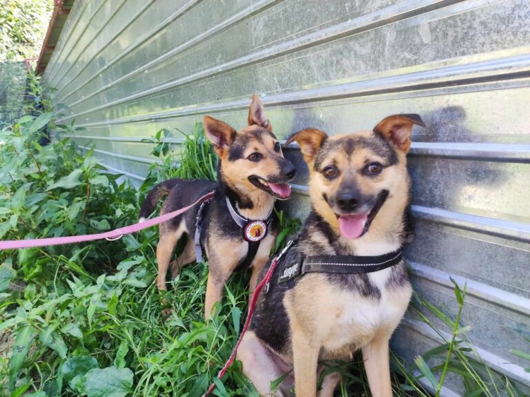 361105197_1997940430540483_2087944670105706334_n-768x575