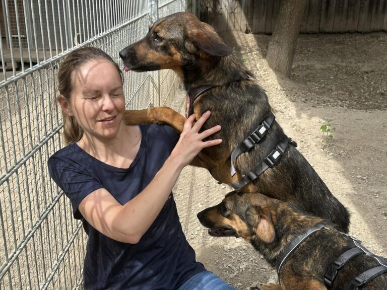 361113980_1366084987584778_2496227710442419726_n-768x576