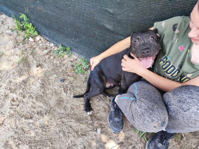 361456219_657721859323016_7761025778567491043_n-768x575