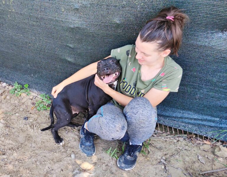 361526615_686874056597019_7168980633686561255_n-768x597