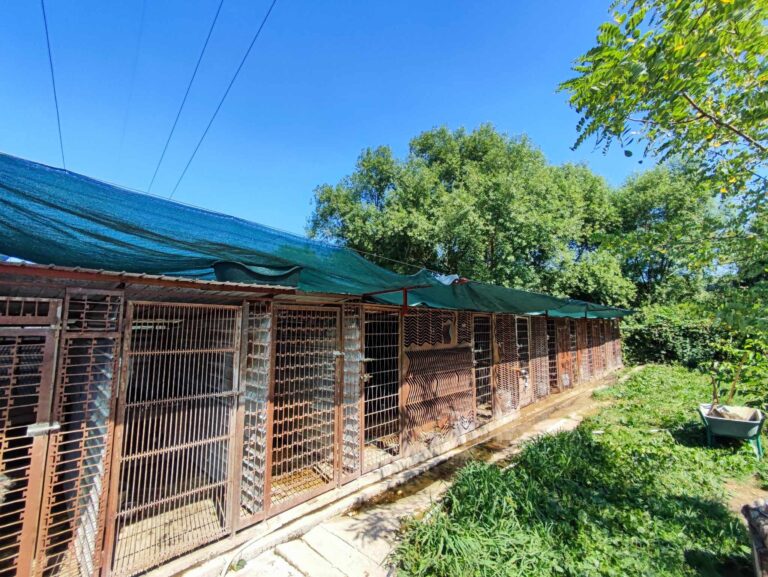 362140873_1305234166791618_6007338420334732298_n-1-768x577