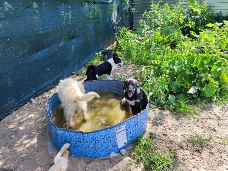 365813417_251694771062978_7024203760966168864_n-768x575