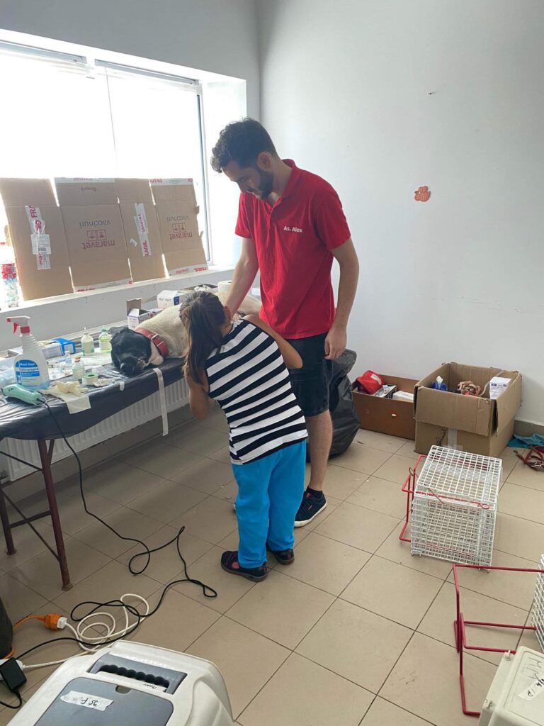 368443203_651595460400934_7963193040685630122_n-768x1024