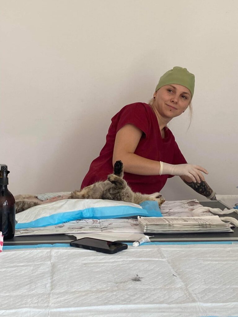 368556119_2446645525523845_2951870738821753999_n-1-768x1024