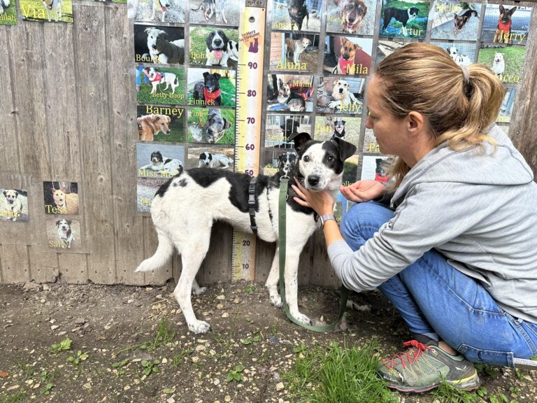 368580577_842829517551034_7656735188293730910_n-768x576