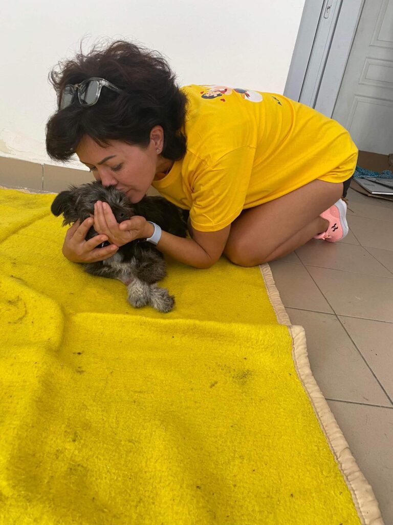 369239059_304351448842463_5799653462893889006_n-768x1024