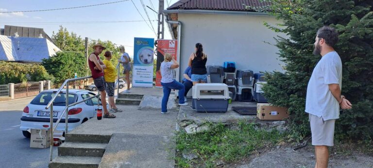 370282059_259004223624617_2562572275512556473_n-768x346