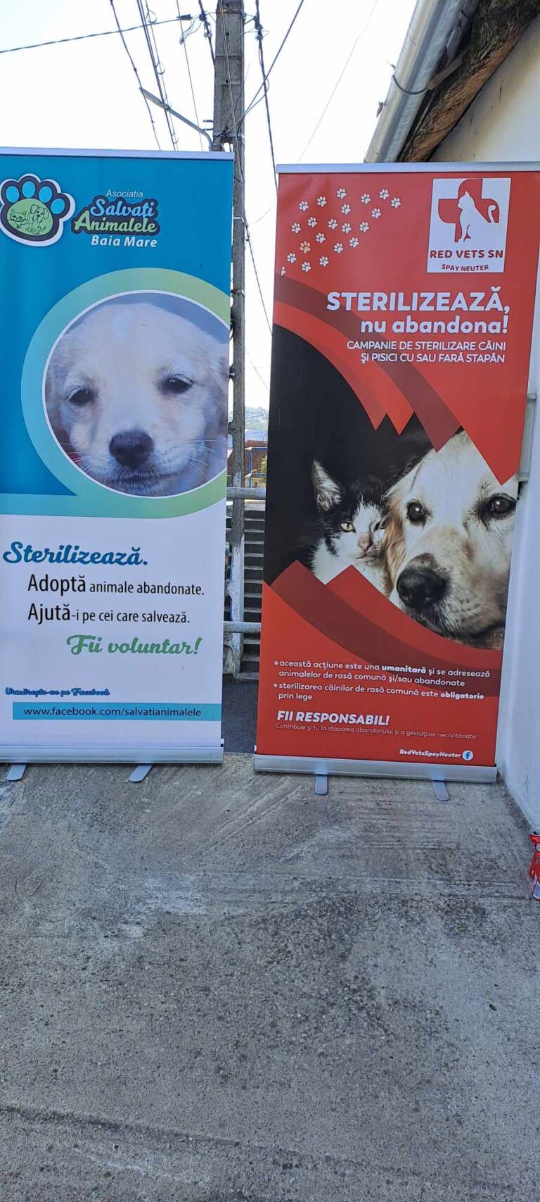 370291450_618399513504305_8750528785746131925_n-768x1707