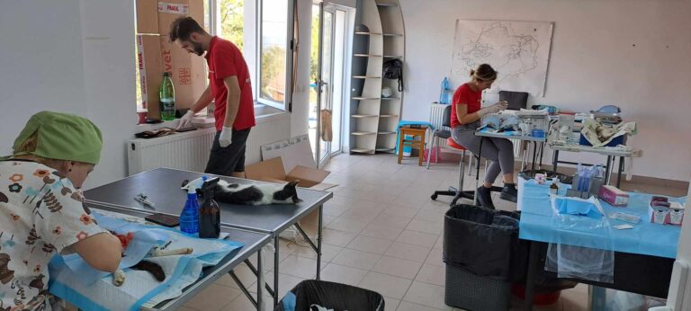 370291844_828005369031861_9117767144663895429_n-768x346