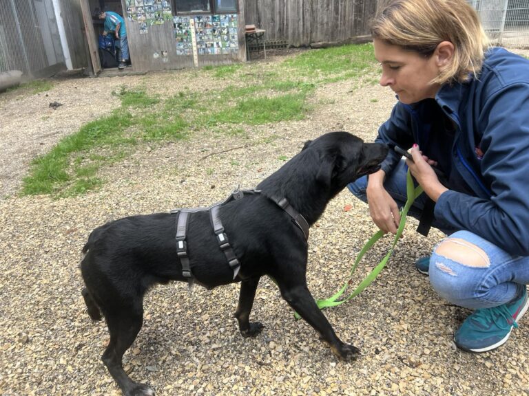 370339513_199182366318634_7971901158530105156_n