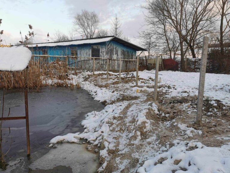 370715060_687438246153653_106086770691759479_n-768x576