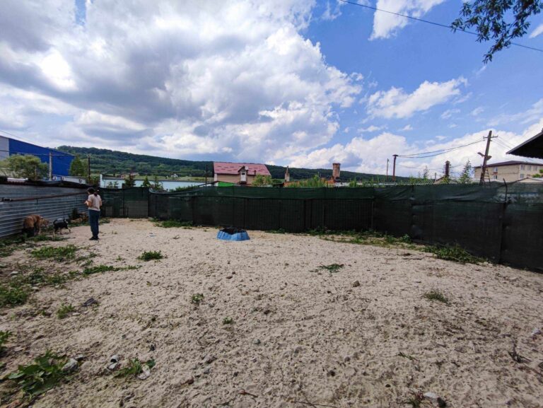 371514148_992844821957338_50533720803894222_n-768x577