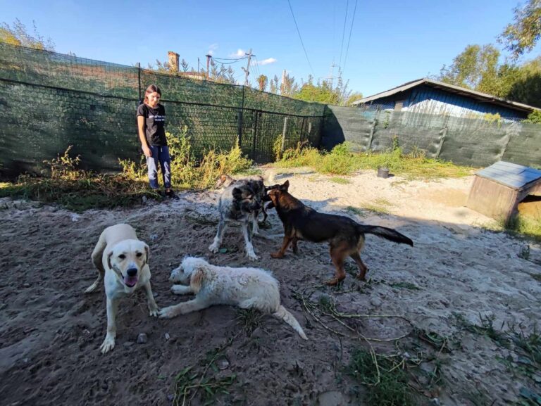 371927604_285727247507203_1448027259433319139_n-768x577