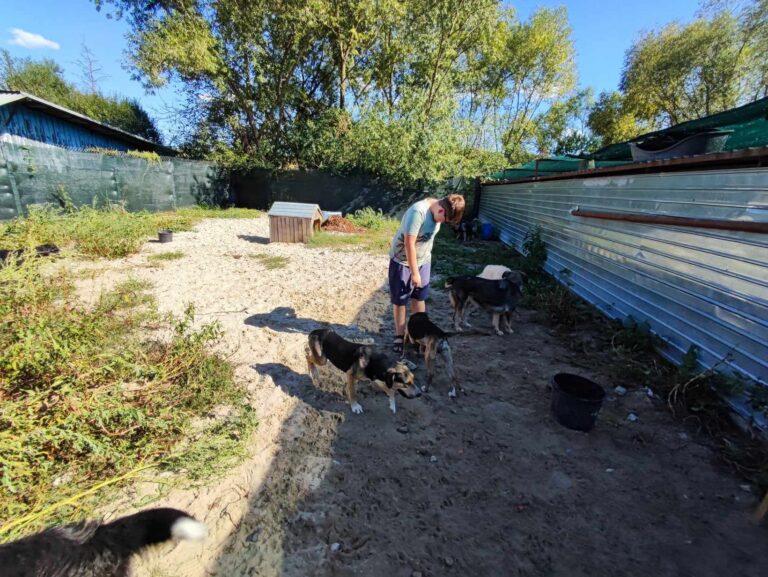 372143147_632602402029473_1241063476392449269_n-768x577