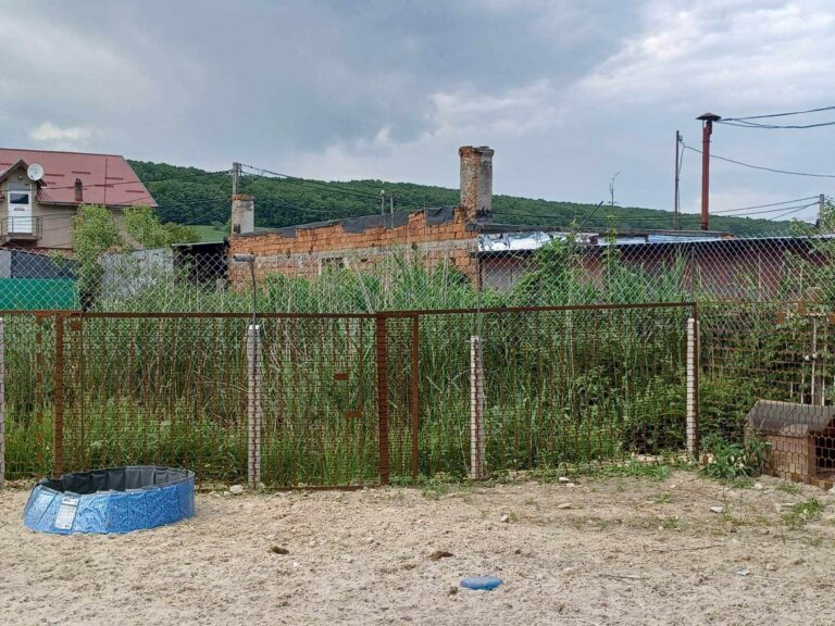 372215671_235589572358827_9148303732936711795_n-768x576