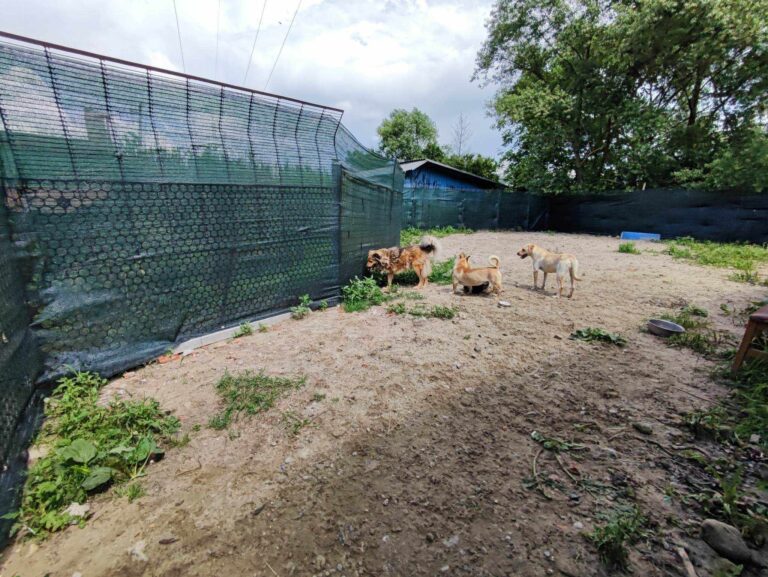 372226441_1303392077211671_3812279429533143173_n-768x577