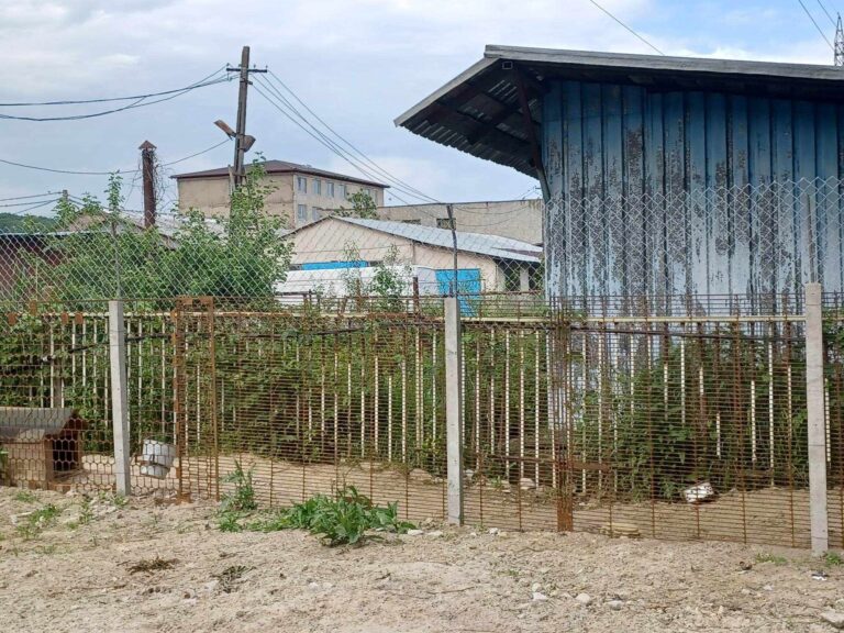 373362187_991996345386705_1109551186699281754_n-768x576