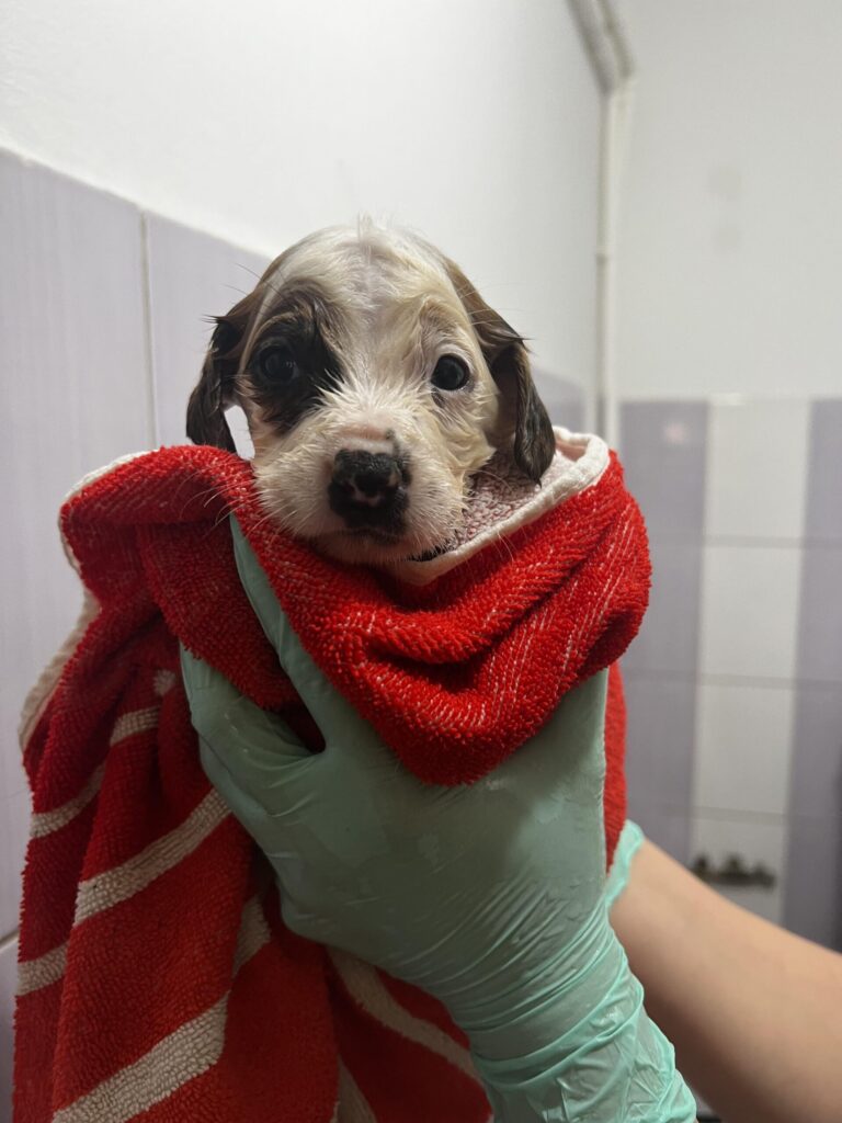 383199612_682520460604055_1101300671792843585_n-scaled-1