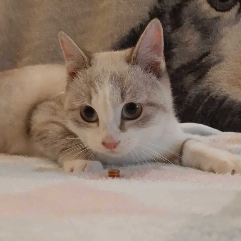 431082229_3573116569667242_6557345356110885797_n