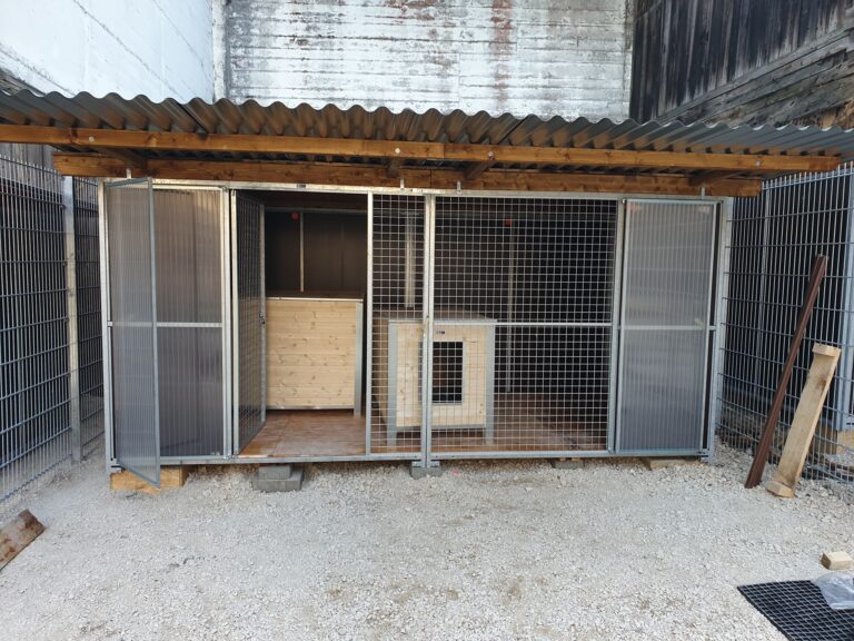 69826042_359056638370742_4376003871357534208_n-768x576