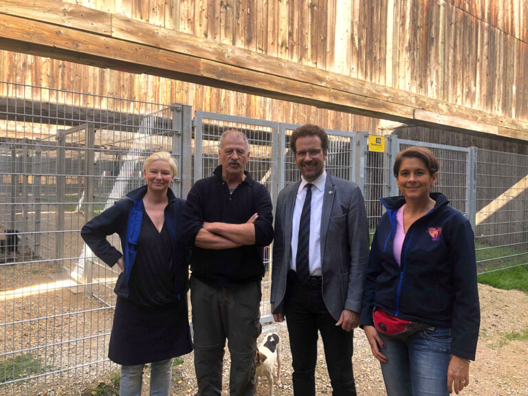 71795717_2194484044184090_6685080170606362624_n