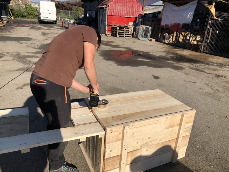 IMG_3555-scaled-1-768x576