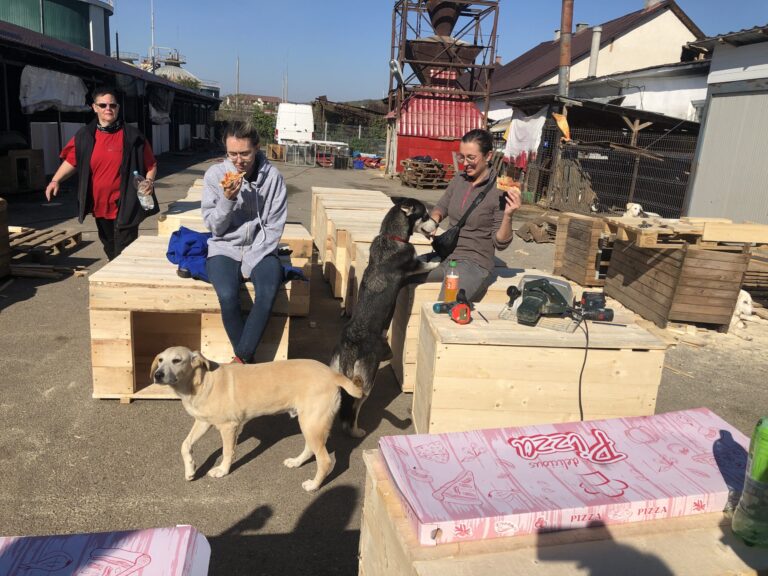 IMG_3728-scaled-1-768x576