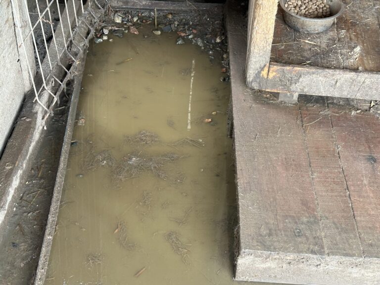 IMG_4092-scaled-1-768x576