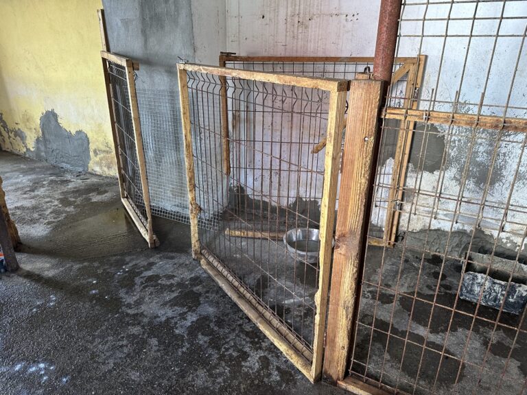 IMG_4989-scaled-1-768x576