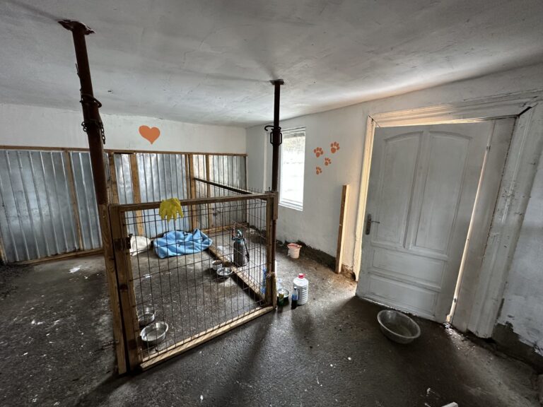 IMG_5181-scaled-1-768x576