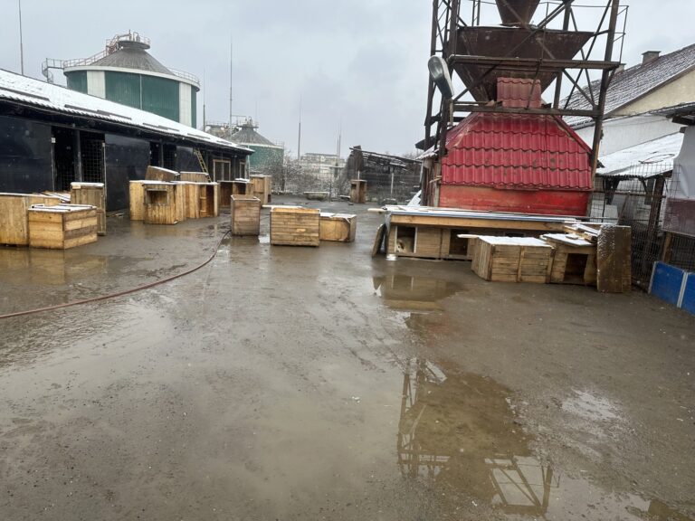 IMG_6293-scaled-1-768x576