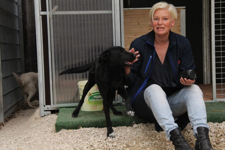 IMG_8793-scaled-1-768x512