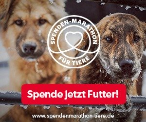 Spenden-Marathon_Spenden_2019_Hund_300x250