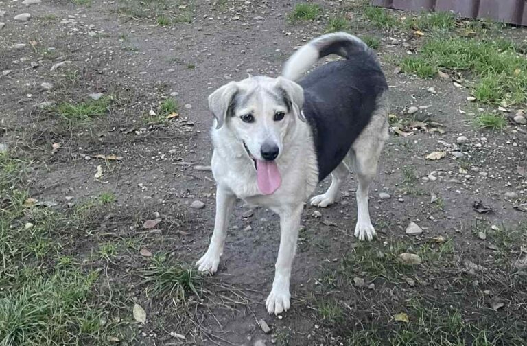 591006513_1531516421216263_1407075731765151342_n