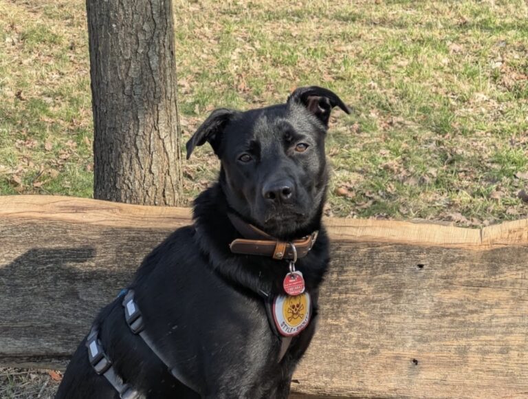 5f847b96-1350-49e7-ac0d-ab4a73ea3b7f