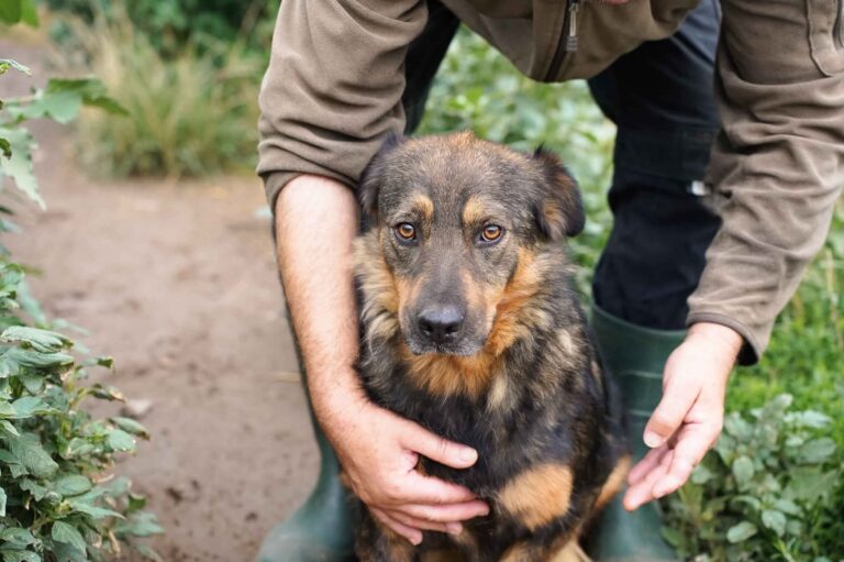 FB_IMG_1757054073590